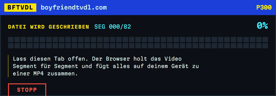 Ein Fortschrittsmosaik, das sich Block für Block füllt, 82 Blöcke für 82 Segmente, am Ende grün bei 100 Prozent mit dem Namen der gespeicherten Datei.