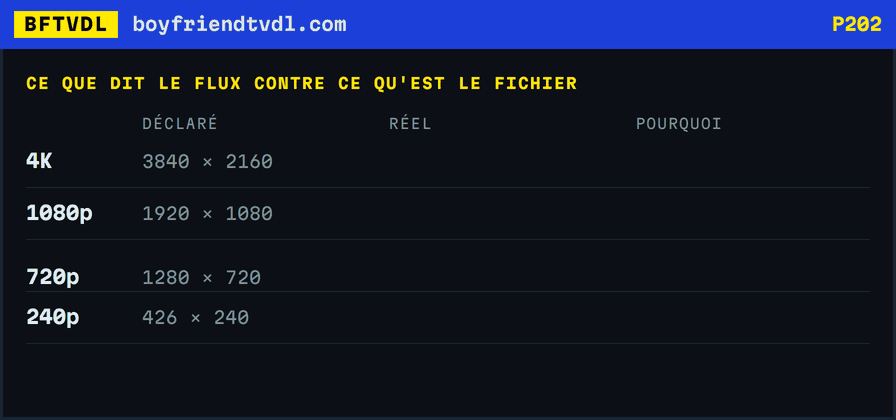 Un tableau qui barre les largeurs déclarées par le flux et les remplace par les vraies : 3840 devient 2880, 426 devient 134 sur une vidéo de téléphone tenue à la verticale.