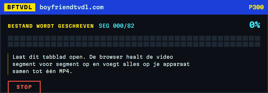 Een voortgangsmozaïek dat zich blok voor blok vult, 82 blokken voor 82 segmenten, en eindigt in groen op 100 procent met de naam van het opgeslagen bestand.